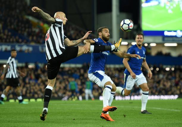 向外界证明 向外界证明